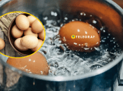 Каких ошибок лучше избегать