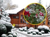 Ядовитые растения в Украине