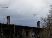 Есть много хороших примет, связанных с аистами