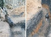 Кадри з відео