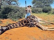 В ЮАР охотница вырезала сердце жирафу, назвав его "валентинкой" на 14 февраля (фото)