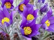 Дорофеев день: приметы и обряды на 18 июня