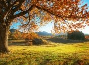 15 сентября. Приметы дня