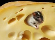 Торговые войны между странами зависят не от качества товаров 