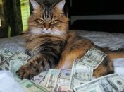 Почти весь негатив жизни из-за денег - то их мало, а то совсем мало: шутки про сбережения, которые вас повеселят