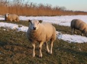 Какой праздник 28 февраля: народные приметы и запреты