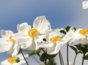 Какие завтра праздники: традиции и приметы на 27 июня