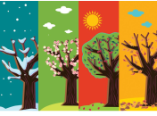 Вірші про пори року та місяці