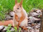 Дожди с грозами принесут похолодание: актуальный прогноз на 28 мая