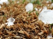 Одессу сразу после потопа накрыл град (фото и видео)