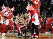 Предложение руки и сердца на матче "Чикаго Буллс"