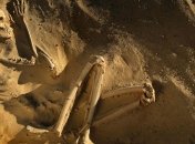 Скелеты, найденные в древнеримской могиле в Лондоне, оказались родом из Азии