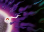 Заморозку яйцеклеток женщин теперь оплатят Facebook и Apple 