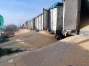 Розсипане українське зерно