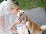 Новая свадебная традиция: корм для собак вместо букетов