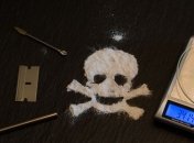 В Литве у российского предпринимателя изъяли полтонны кокаина