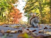 Прогноз погоды в Украине 2 октября: немного потеплеет