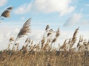  21 серпня - свято, що категорично заборонено робити, головні прикмети