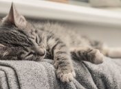 Открытые источники