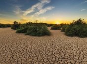 Мюнхенська конференція: Екологи оцінили ризики зміни клімату