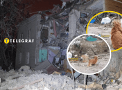 Верный пес не отходит от погибшего хозяина