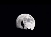 Названы сроки падения Луны на Землю