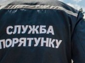 Евакуція українців з Китаю: ДСНС підготувала сім автобусів і 33 рятувальники