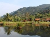 До 40% тропічних лісів Амазонії загрожує перетворення в савану