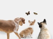 Узнайте о себе больше