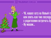 Ни минуты грусти: вечерние анекдоты 31 декабря