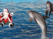 Факт дня: работа Санта-Клауса