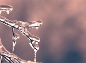 Какой праздник 26 января: народные приметы и запреты