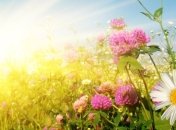 Погода в Украине 30 августа: ожидаются небольшие дожди