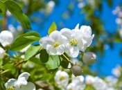 6 мая. 5 вещей «made your day»