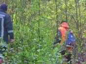 В Черновицкой области сутки искали четырех людей, заблудившихся в лесу