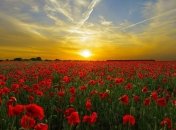 3 травня 2020 - прикмети, іменинники, що сьогодні не можна робити