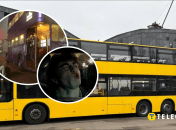 Двухэтажный автобус в Киеве