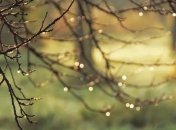 Тепло, но с дождями: прогноз погоды на 10 ноября