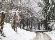 Раздела в 15 градусный мороз: в Подмосковье женщина едва не заморозила своих детей из-за ссоры с мужем