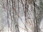 Дождь в марте