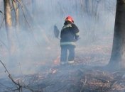В  Зоне отчуждения и в Житомирской области продолжают тушить очаги пожаров