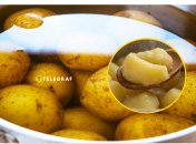 Больше никакой "каши" из картофеля