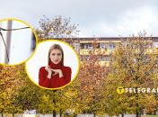 Восени комахи шукають зимівлю в наших домах