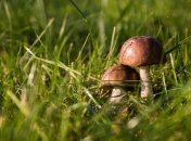 Приметы и обряды на 7 сентября - Тит Листопадник, Варфоломей Житосей