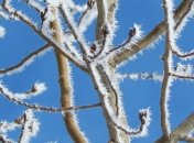 Знаменательные события в истории: 27 января 2017 года