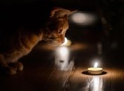 Света не было, а сумма в платежке выросла: почему так происходит и что делать