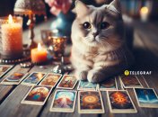 Гороскоп Таро, на що чекати 30 жовтня