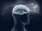 Ученые разгадали тайну мозга