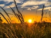 Прогноз погоды на 4 июля: в Украину возвращается жара