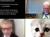 В США адвокат появился в суде в виде мультяшного кота (видео)